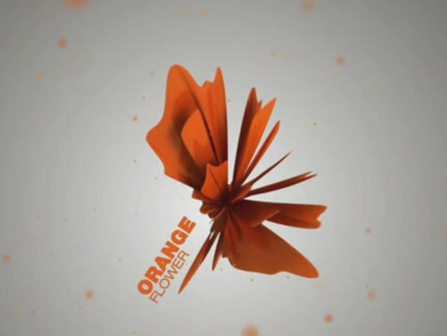 Orange Flower – jingiel